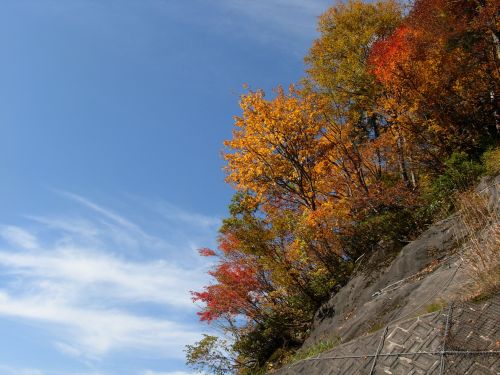 称名紅葉