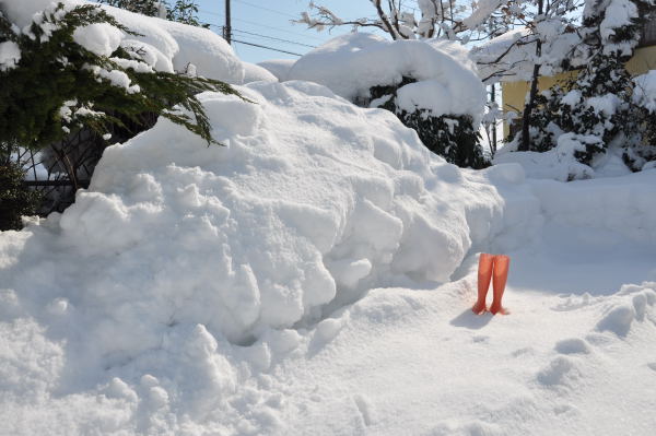 大雪