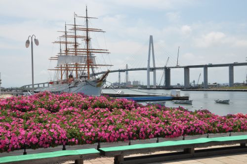 海王丸パークと花壇