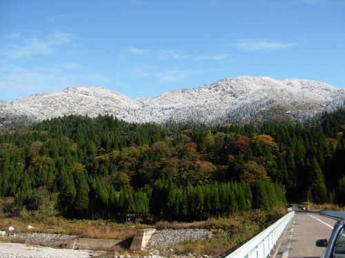 伊折付近山道