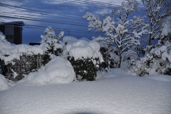 雪