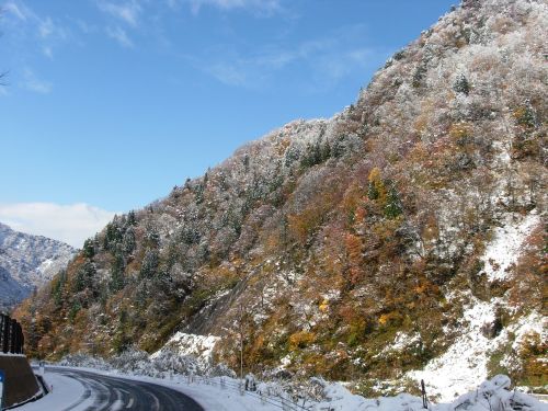 紅葉と雪