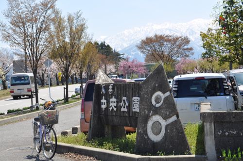 入善中央公園