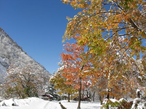 馬場島