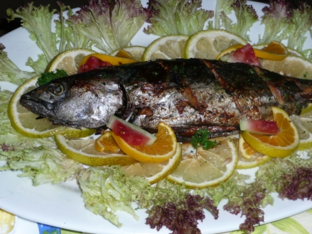 P1000264.JPG