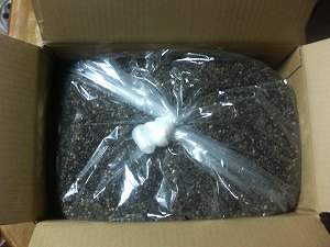 荒川アグリ：玄１０Kg