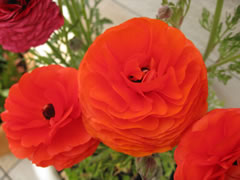 080402-125256.jpg