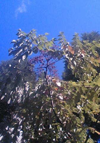 2005-10-14 00:10:04