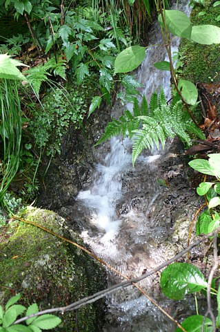 塔尾登山道の水場