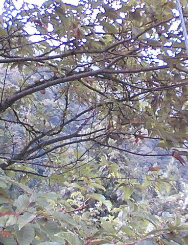 2005-09-22 19:18:17