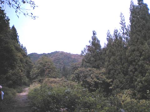 2005-09-22 19:23:34