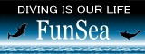 funsea