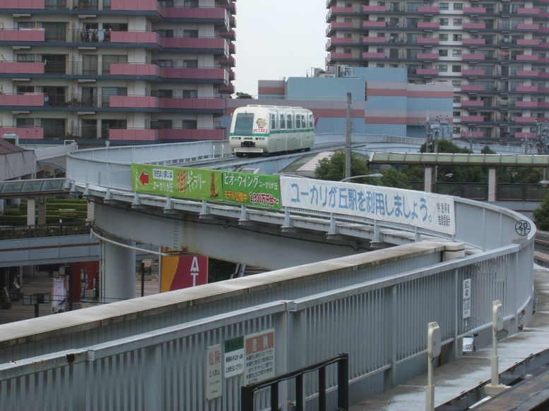 koala-toujou.jpg
