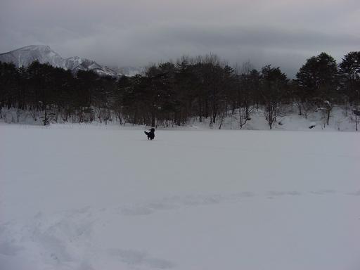 何処まで行くの～