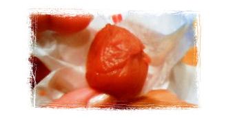リッチ梅干し果肉