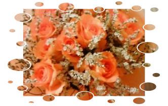 オレンジのバラ