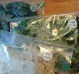 冷凍保存クリア