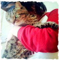 セルフタイマー3