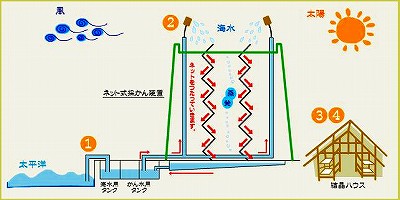 s-海一粒ができるまで.jpg