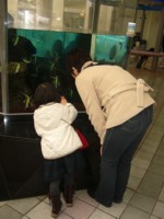 お魚さんがバイバイしてくれたぁ♪