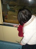 赤ちゃんだぁ！！