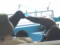 バレンタインだもんね♪