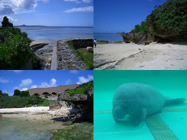 美ら海水族館　４