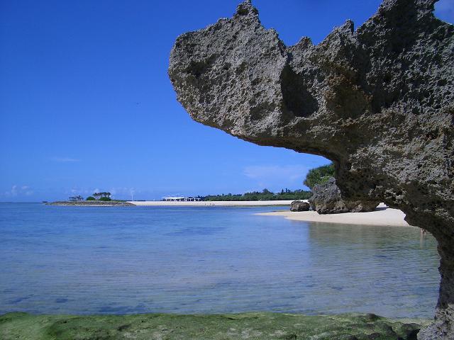 美ら海水族館　５