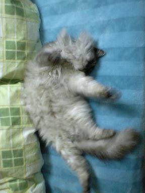 ♪