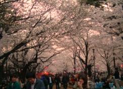 Dscf1403.jpg