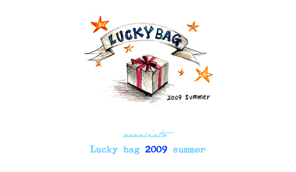 2009bag_1.jpg