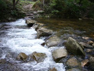 トゥエンティクロス増水中