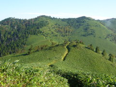 横川山へ向って
