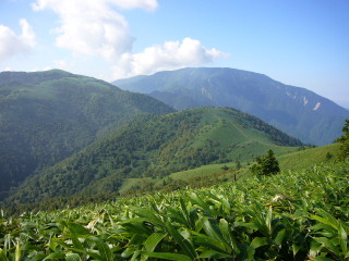 横川山より富士見台方面