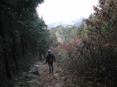 東海自然歩道を歩く