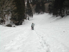 スキー場を歩く