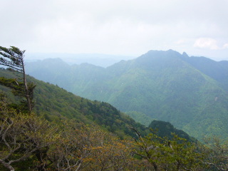 daifugen070603-12.jpg