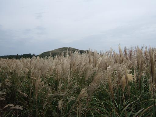 生石高原２