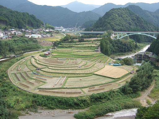 あらぎ島