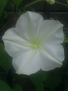 2011-08-25 21:18:44