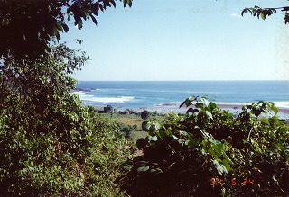 IMG_0001.jpg