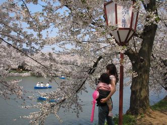 桜のトンネルからの西堀