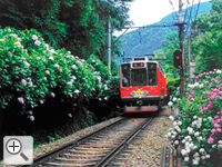 あじさい電車箱根.jpeg