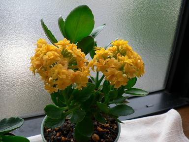 P1040045.JPG