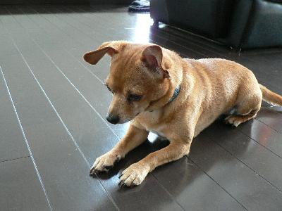 hoku0701.jpg