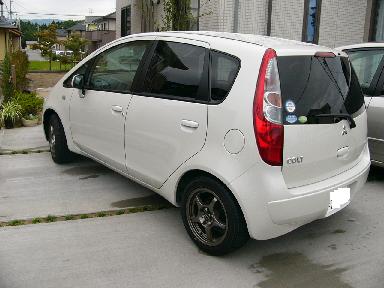 colt01.jpg