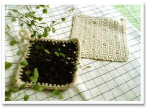 地球にやさしいね*:・(*´ー｀*)