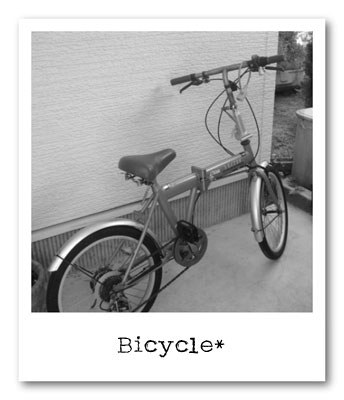 bicycle*