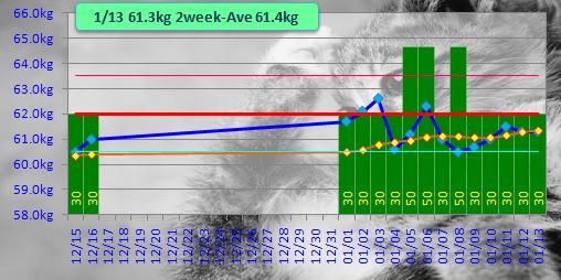 1/13 61.3kg