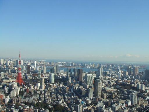 スカイデッキからの眺め